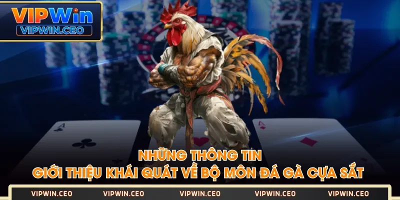 Những thông tin giới thiệu khái quát về bộ môn đá gà cựa sắt Những thông tin giới thiệu khái quát về bộ môn đá gà cựa sắt