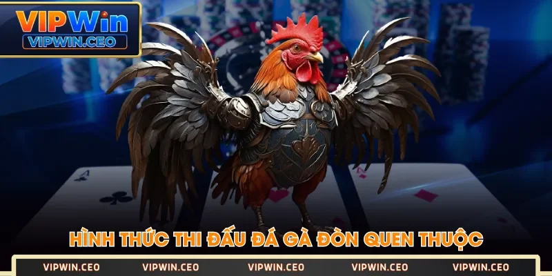Hình thức thi đấu đá gà đòn quen thuộc Hình thức thi đấu đá gà đòn quen thuộc